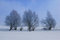 Free Winter Landscape Stock Image - 8280881