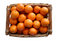 Free Basket Of Oranges Royalty Free Stock Image - 8288706