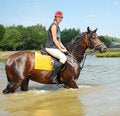 Free Horse-woman On Horse Royalty Free Stock Photos - 8295858