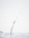 Free Water Royalty Free Stock Photo - 8299495
