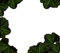 Free Border Of Leafs Stock Images - 8290164