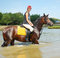 Free Horse-woman On Horse Royalty Free Stock Photos - 8295858