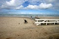 Free Beach Activities Royalty Free Stock Photo - 831365