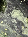Free Abstract Patterns. Royalty Free Stock Images - 832199