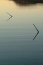 Free Pair Of Winter Mooring Sticks In Twilight Royalty Free Stock Photo - 835025