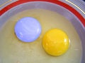 Free Yolks Of Chicken Eggs Royalty Free Stock Images - 835359
