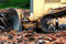 Free Earth Mover Royalty Free Stock Image - 831926