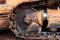 Free Bulldozer Tread 2 Royalty Free Stock Images - 831929