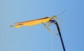 Free Live Bait Royalty Free Stock Photo - 8304125