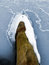 Free Frozen Beam Stock Photography - 8302522