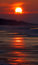Free Sunset Royalty Free Stock Image - 8304226