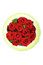 Free Red Roses In Green Ring Stock Images - 8306054