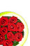 Free Red Roses In Green Ring Royalty Free Stock Photography - 8306227