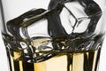 Free Whiskey Royalty Free Stock Image - 8313506