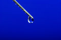 Free Drop Stock Photography - 8327392