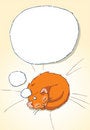 Free Red Cat Sleep And Dreaming Stock Photo - 8337640