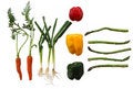 Free Organic Veggies Stock Photo - 8349080