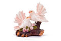 Free Two Pigeons Royalty Free Stock Photography - 8357327