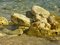 Free Rocky Beach Royalty Free Stock Image - 8350566