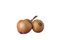 Free Bulb Of Onion Isolated Royalty Free Stock Photos - 8358068