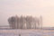 Free Pink Sunset Royalty Free Stock Images - 8358569