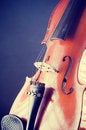 Free Violin Details Stock Images - 8360654