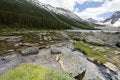 Free Lake Isolation Stock Photos - 8360723