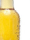 Free Cool Beer Royalty Free Stock Photography - 8364097