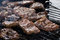 Free Barbecue Stock Photo - 8364280