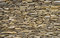 Free Decorative Wall Royalty Free Stock Photo - 8364985