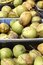 Free Coconut Stock Photography - 8369602