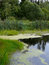 Free Bog In Wood. Royalty Free Stock Photo - 8372005