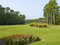 Free Myrtle Beach Course Royalty Free Stock Photography - 8381137