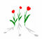 Free Vector Drawing Tulip Stock Photos - 8385973