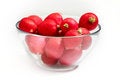 Free Red Radish Royalty Free Stock Image - 8394056