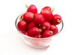 Free Red Radish Stock Photography - 8394072