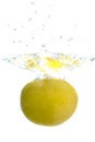Free Grapefruit Stock Images - 8397734