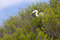 Free Bird At The Tropical Island Royalty Free Stock Photo - 8395045