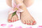 Free Female Feet And Flower Stock Photos - 8399553