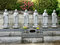 Free Buddhas Stock Photos - 840183