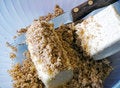 Free Walnuts And Butter Stock Photo - 8401020