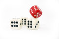 Free Gamble Royalty Free Stock Photos - 8401898