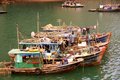 Free Boats Royalty Free Stock Photo - 8404975