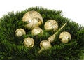 Free Christmas Tree Stock Image - 8407961