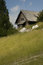 Free Alpine Meadow Stock Photos - 8402913