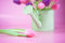 Free Tulips In Watering Can Royalty Free Stock Photos - 8403758