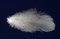 Free Feather On Dark Blue Background Royalty Free Stock Photos - 8408318
