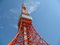 Free Tokyo Tower With Copyspace Royalty Free Stock Photo - 8409825