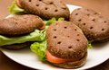 Free Sandwiches With Freshness Vegetables Stock Photography - 8410712
