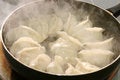 Free Cooking Stock Image - 8410731